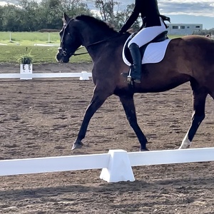 Fundraising Page: Berkley Johnson